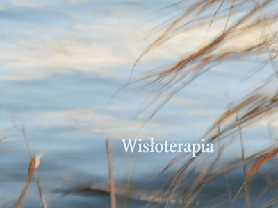 Wisłoterapia