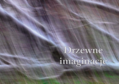 Drzewne imaginacje